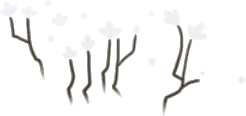白く光る花の画像