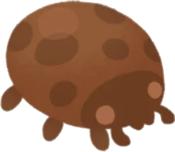 テントウムシ型チョコレートの画像