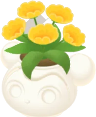 ピグミーのフラワーポットの画像