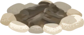 燃やし終えた焚き火の画像