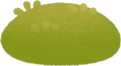 小さな苔の画像