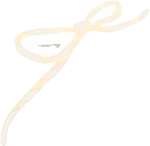 蝶結びの麻紐の画像