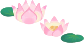蓮の花の画像