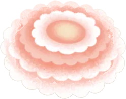 摘んできたポンポンデイジーの画像