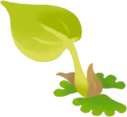 苔から芽吹いた緑の画像
