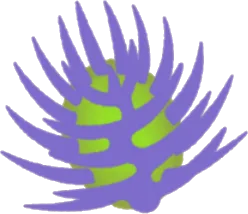 マンドレイクの花の画像