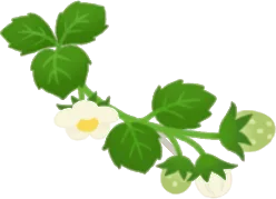 葉と花のついたイチゴの枝・左の画像