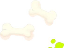 謎の骨2の画像
