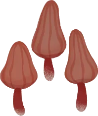 オレンジのキノコの画像