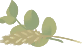 収穫したドライフラワーの画像