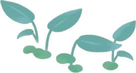 水を好む温室の植物・緑の画像