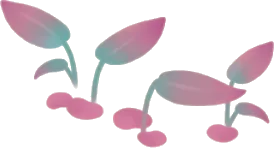 水を好む温室の植物・赤の画像