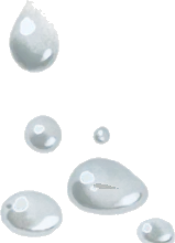 水撒き後の水滴の画像