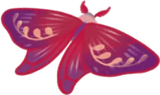 ドリーム蝶の画像