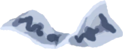 折れ曲がった御札の画像
