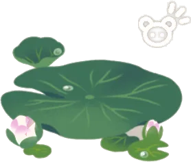 大きな睡蓮の葉の画像