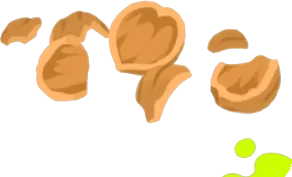 散らばるくるみの殻の画像