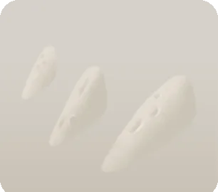 埋もれた何かの骨の画像