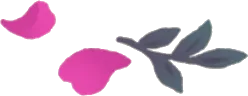 花びらと薬草の画像