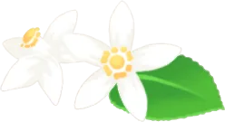 レモンの花の飾り付けの画像