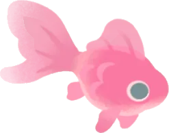 小さな金魚の幻影の画像
