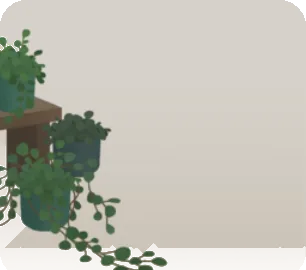 ワイヤープランツの鉢植えの画像