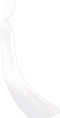 そびえ立つ骨の画像