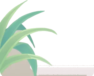そっと置かれたヤブランの画像