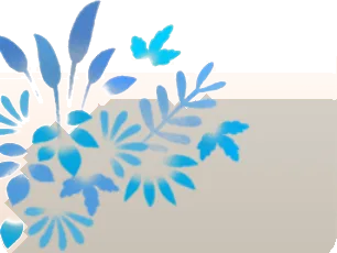霧の森の下草の画像