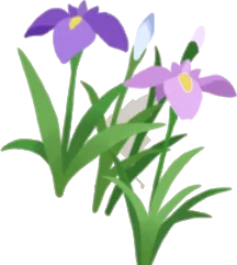 花菖蒲の画像