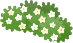 花の群生の画像