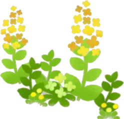 キノコの森の黄色い小花・右の画像