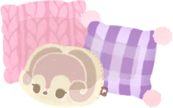 バキケのクッションセットの画像