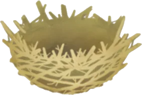なにかの巣の画像