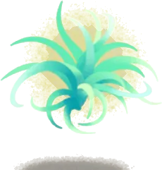浮遊エアプランツ・右後の画像