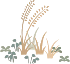 海風になびく雑草の画像