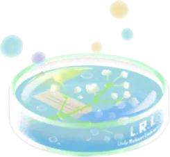 リヴリー用アロマジェルベッドの画像