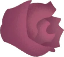 落ちた丸い花の画像