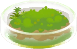 苔むしたシャーレの画像