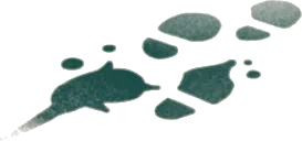 誰かの足跡の画像
