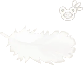 落ちている羽毛の画像