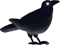 幽遠のカラス・黒の画像