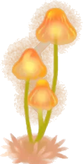 ヒカリノキノコ・右の画像