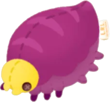 ヤツイロイモモドキトイの画像