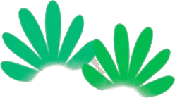 ひっそりと生える草の画像