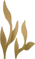 水底の金色の草・右の画像