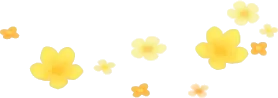 プランターに咲く小花の画像
