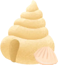 砂の巻き貝の画像