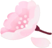 ダークチェリーの花の画像