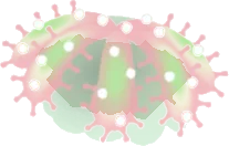 サジバモウセンダマの画像